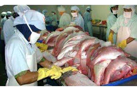  Gianyar Dorong Variasi Olahan Ikan Laut Guna Mendorong Minat Konsumsi
